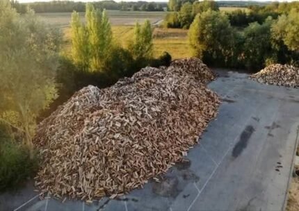 Brennholz in 40 cm großen Stücken - Laubholzmischung (Eiche, Hainbuche, Buche, Esche, Ahorn)